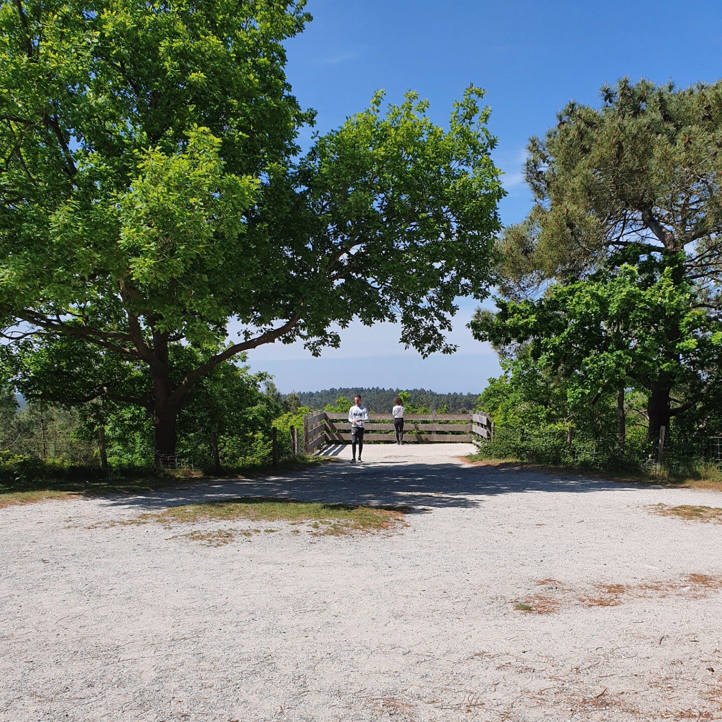 thumbnail_klimduinen in Scoorl